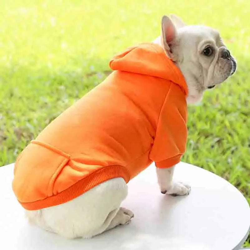 Honden winter hoodie  - Ideaal voor kleine en middelgrote honden