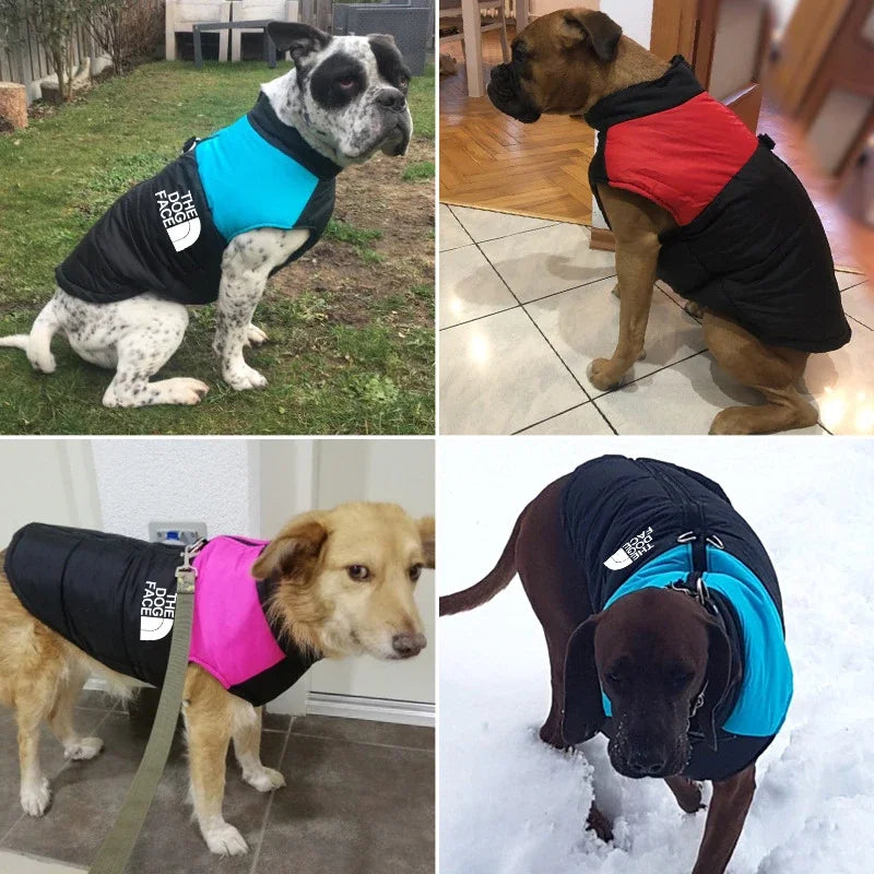 Waterdichte winterjas voor honden - Dog jacket