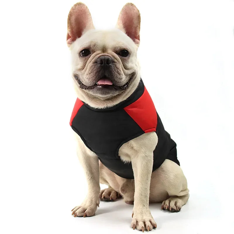 Waterdichte winterjas voor honden - Dog jacket