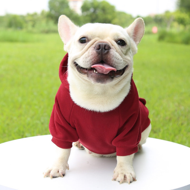 Honden winter hoodie  - Ideaal voor kleine en middelgrote honden