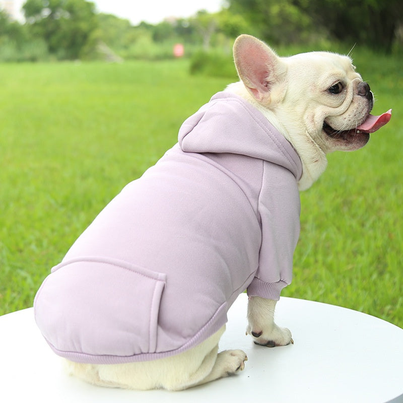 Honden winter hoodie  - Ideaal voor kleine en middelgrote honden